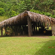 Picture 017